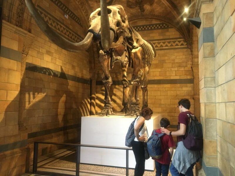 London: Natural History Museum Entry Ticket and Guided Tour - A Closer Look at the Experience