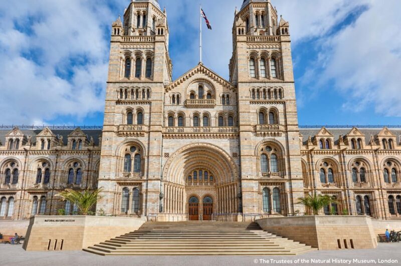 London: Natural History Museum Guided Tour & Afternoon Tea - Key Points