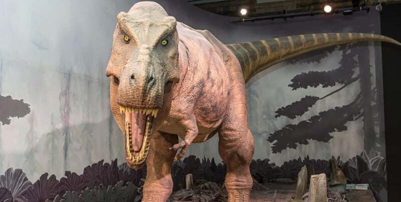 London: Natural History Museum + Guided Tour+ Priority Entry - A Deep Dive into the Experience