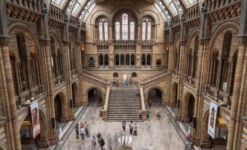 London: Natural History Museum + Guided Tour+ Priority Entry - Final Thoughts: Is It Worth It?