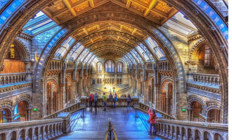 London: Natural History Museum + Guided Tour+ Priority Entry - Frequently Asked Questions