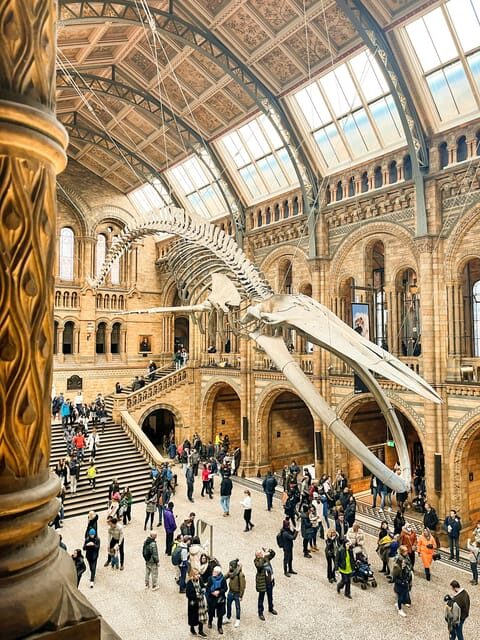 London: Natural History Museum Guided Tour - Is This Tour Worth It?