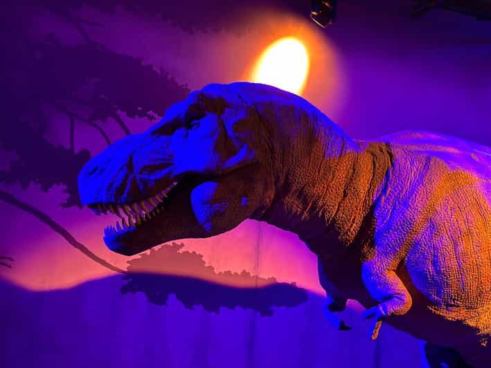 London: Natural History Museum Private Guided Tour - Authentic Insights from Reviews