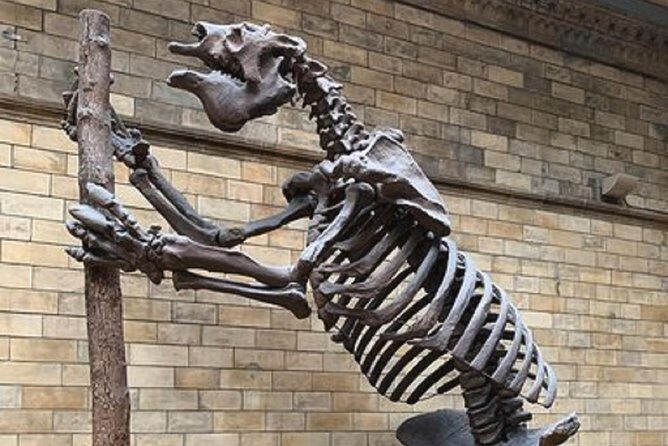 London Natural History Museum Private Tour for Kids & Families - FAQ
