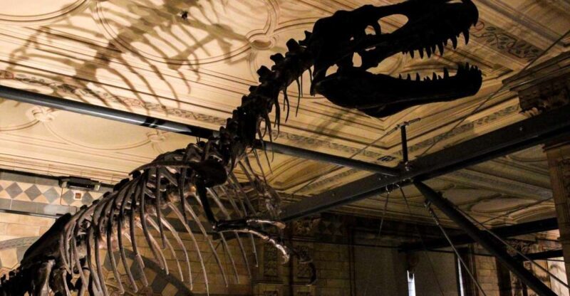 London: Natural History Museum Tour - Key Points