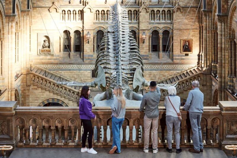 London: Official Natural History Museum Tour - Highlights - A Closer Look at the Experience