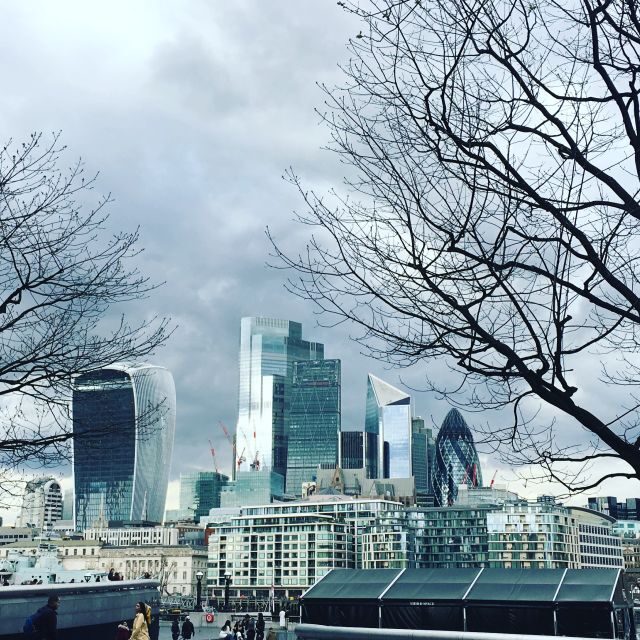 London: Private Intro Walk with a Local Guide - The Value of a Private, Guided Walk