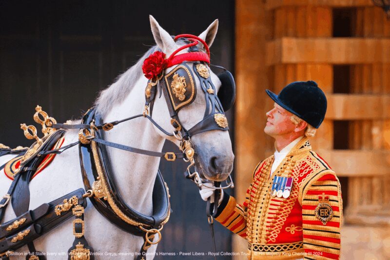London: Royal Walking Tour with Guard Change & Royal Mews - Final Thoughts