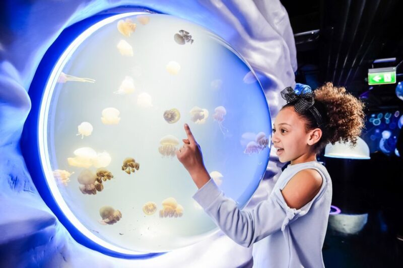 London: SEA LIFE Entry Ticket - Key Points