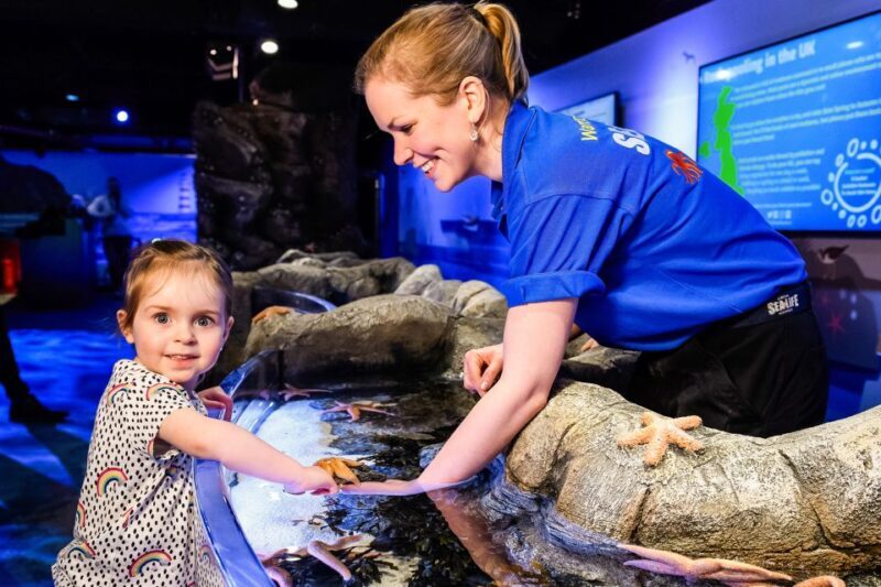 London: SEA LIFE Entry Ticket - Exploring the Underwater World of SEA LIFE London