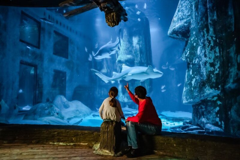 London: SEA LIFE Entry Ticket - Authentic Experiences and Honest Insights