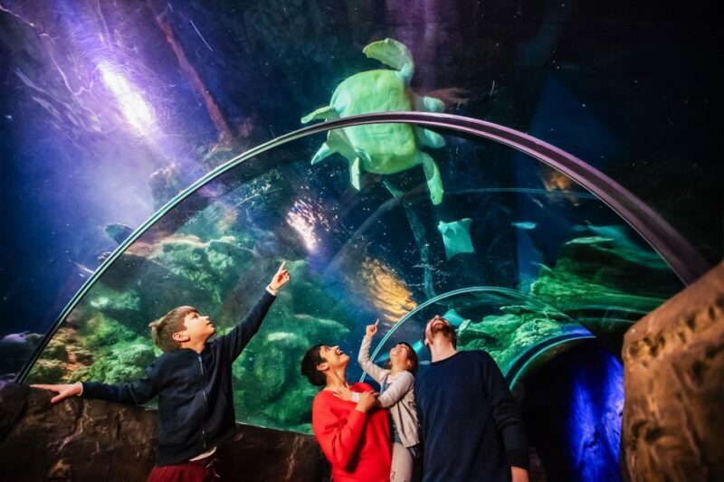 London: SEA LIFE Entry Ticket - Who Will Love SEA LIFE London?