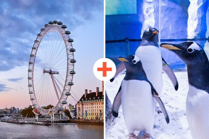 London: SEA LIFE & London Eye Combo Ticket - Diving into the Details: What to Expect at Each Attraction