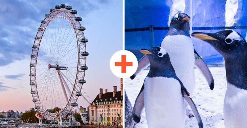 London: SEA LIFE & London Eye Combo Ticket - Final Thoughts: Is This Combo Worth It?