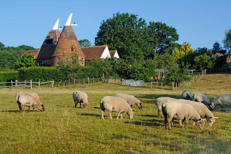 London: Small Group Canterbury, Dover & Kent Villages Tour - FAQs