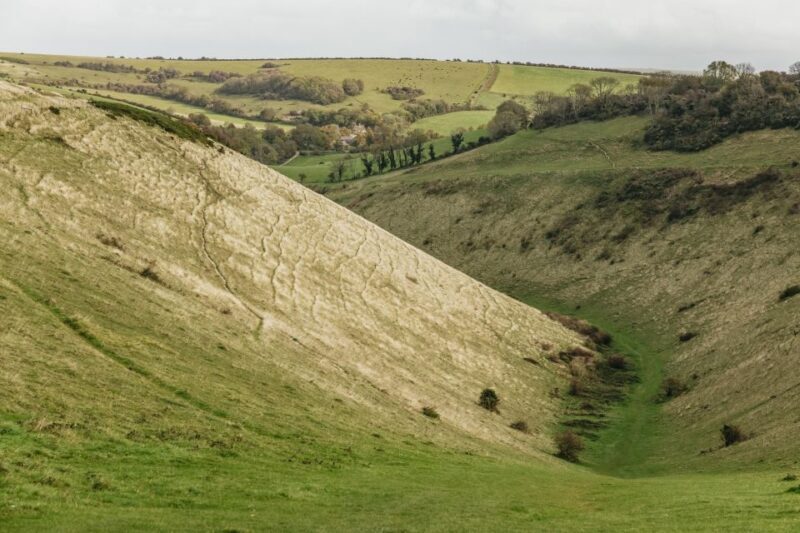 London: South Downs White Cliffs Day Trip with Train Tickets - Who Would Love This Experience?