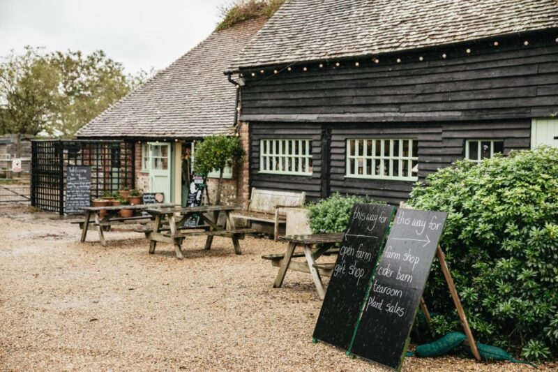 London: South Downs White Cliffs Day Trip with Train Tickets - Final Thoughts