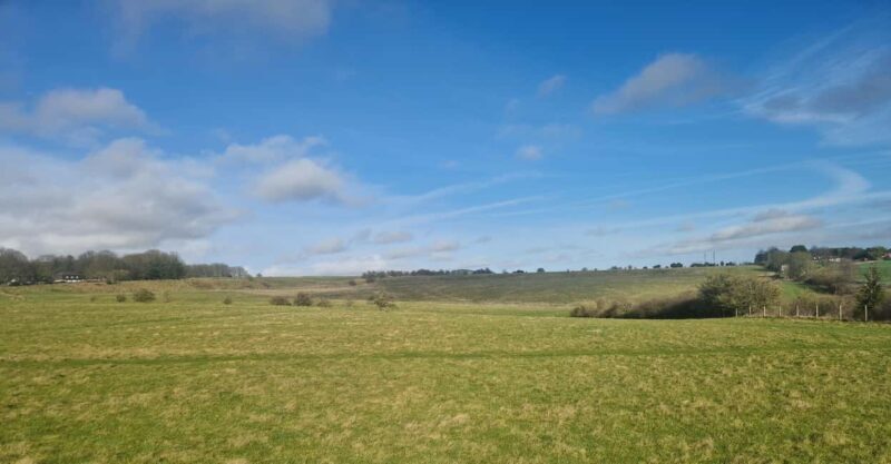 London: Stonehenge and Woodhenge Private Black Cab Tour - Key Points