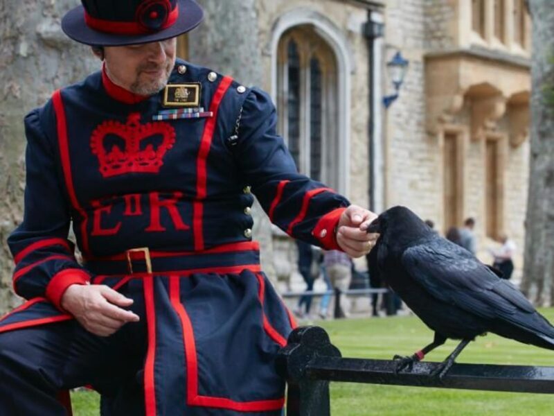 London: Top 30 Sights Walking Tour and Tower of London Entry - The Experience from Real Travelers Perspectives