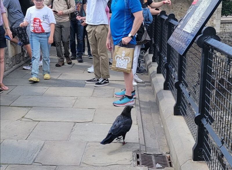 London: Tower of London Guided Tour with Boat Ride - Key Points