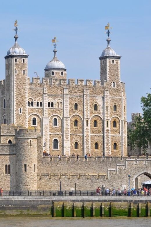 London: Westminster Private Walking Tour & Tower of London - Who Should Consider It?