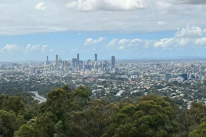 Lone Pine, Brisbane Highlights and Lunch! - How the Tour Runs