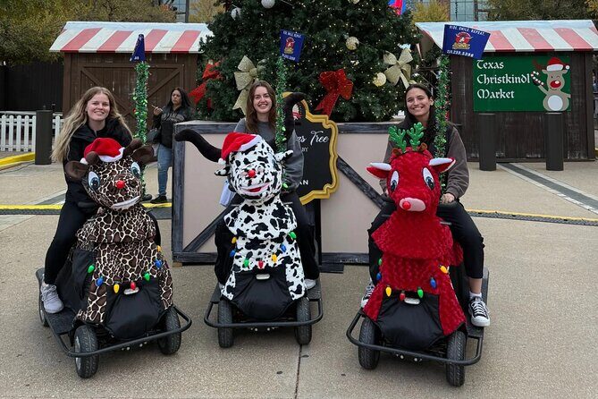 Lone Star Rydables Arlington Adventure Tour - Who Will Love This Tour?