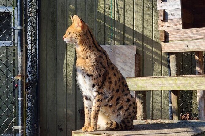 Long Island Farm & Vanderbilt Planetarium Tour | Kids 50% Off - Practical Considerations for Travelers