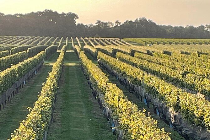 Long Island Wine Tour North Fork Sights, Bites & Flights Full-Day - The Guide and Customer Experience