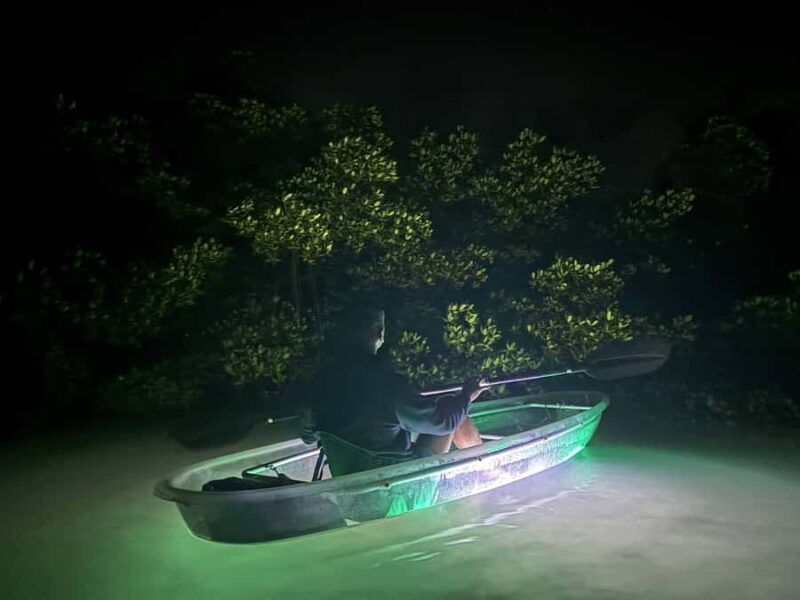 Longboat Key Clear Kayak LED Illuminated Night Tour Sarasota - Key Points