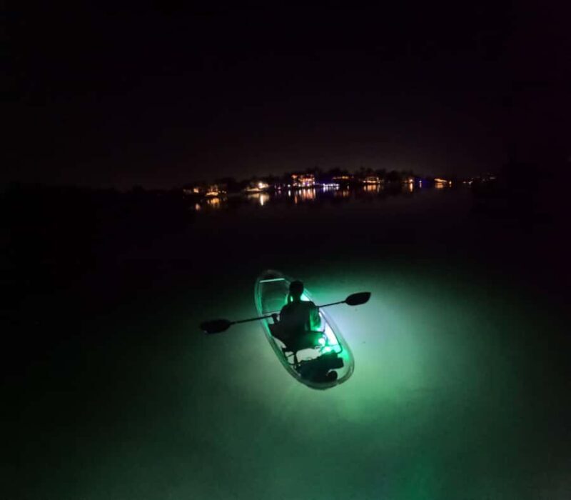 Longboat Key Clear Kayak LED Illuminated Night Tour Sarasota - A Closer Look at the Experience