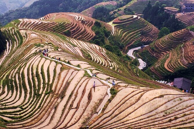 Longji Rice Terrace Private Day Tour from Yangshuo - Final Thoughts: Who Should Consider This Tour?