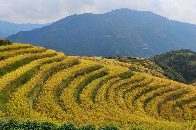 Longji Rice Terraces Day Tour from Guilin hotel - What Sets This Tour Apart?