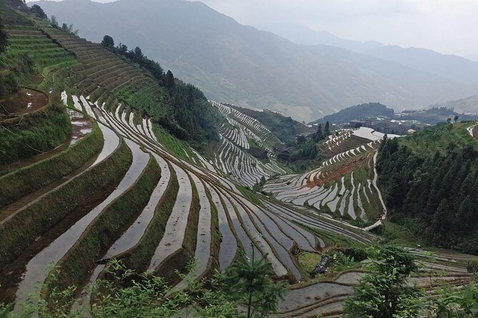 Longji Rice Terraces Day Tour with the Ping'an and Dazhai Village - Exploring the Longji Rice Terraces: A Detailed Breakdown