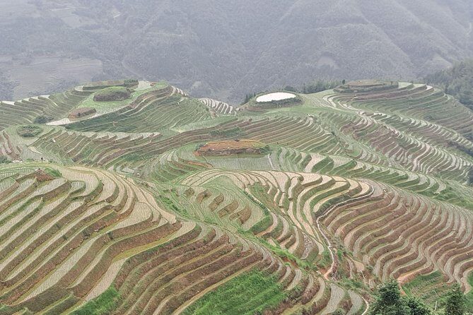 Longji Rice Terraces Day Tour with the Ping'an and Dazhai Village - FAQ