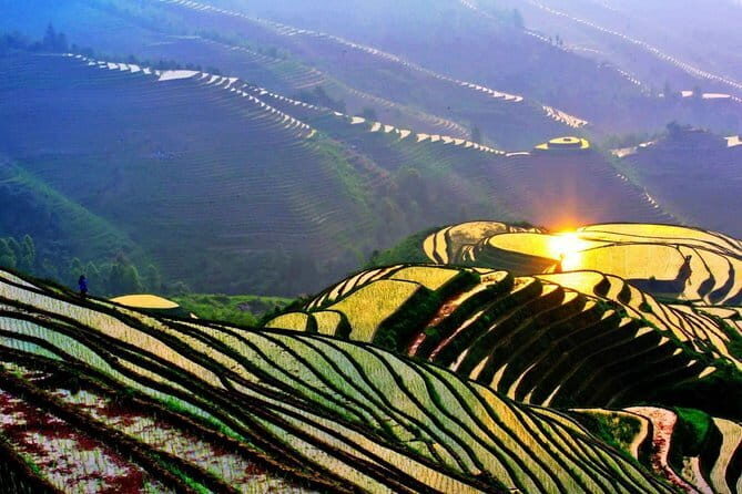 Longji Rice Terraces Field Private Full Day Tour - Exploring the Longji Rice Terraces: A Deep Dive into the Private Full Day Tour