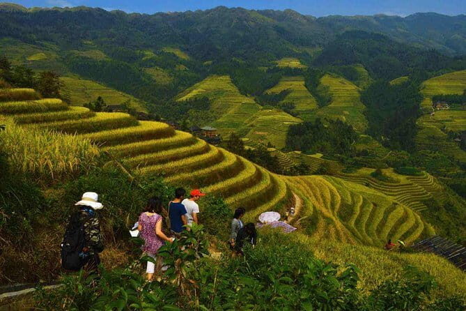 Longji Rice Terraces Field Private Full Day Tour - Key Points