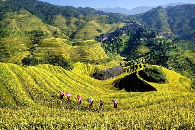Longji Rice Terraces Field Private Full Day Tour - Who Is This Tour Best For?