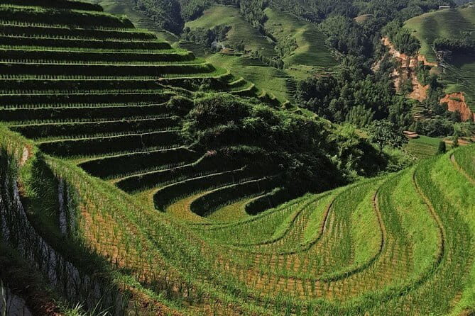 Longji Rice Terraces Field Private Full Day Tour - FAQ
