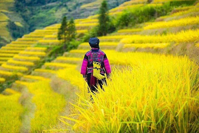 Longji rice terraces & minority villages private day tour - Comfort and Convenience