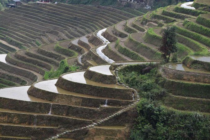 Longji Rice Terraces with the Dazhai Cable Car Private Day Tour - Exploring the Longji Rice Terraces