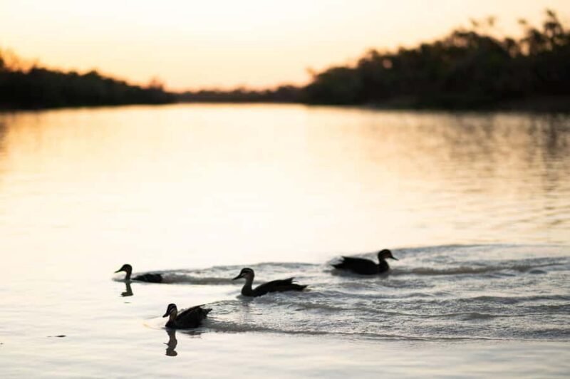 Longreach: Drover's Sunset Cruise & Outback Dinner & Show - An In-Depth Look at the Experience