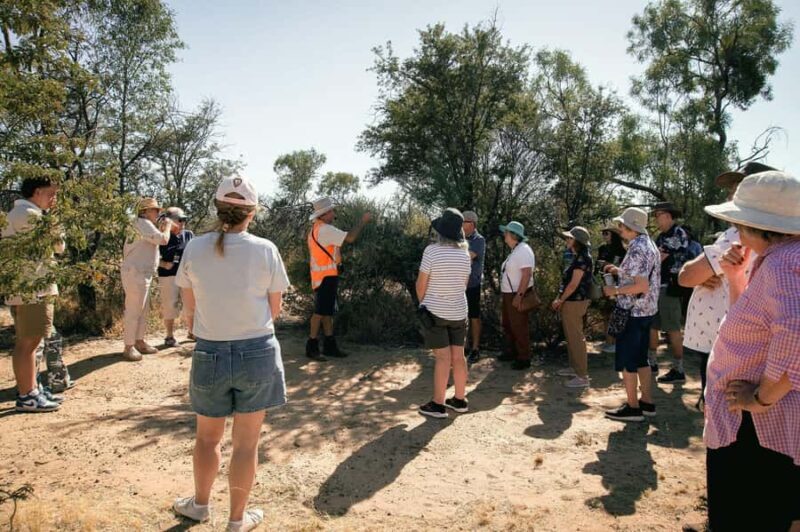 Longreach: Great Darr River Rail Run Outback Rail Adventure - Why the Great Darr River Rail Run is Worth Considering