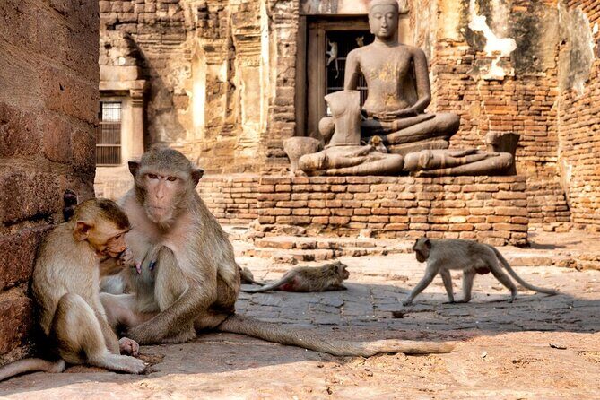 Lopburi Monkey Temple & Ayutthaya Old City Tour From Bangkok - Wat Phra Sri Sanphet: Royal and Grand