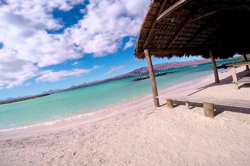 Loreto: Gray Whale Watching Tour at Lopez Mateos - An Overview of the Experience