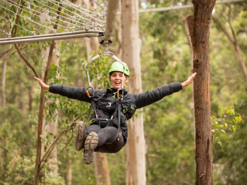 Lorne: Live Wire Park Ticket with Zip Line Rollercoaster - Key Points
