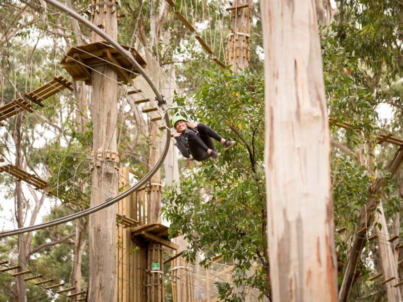 Lorne: Live Wire Park Ticket with Zip Line Rollercoaster - An In-Depth Look at Live Wire Park in Lorne