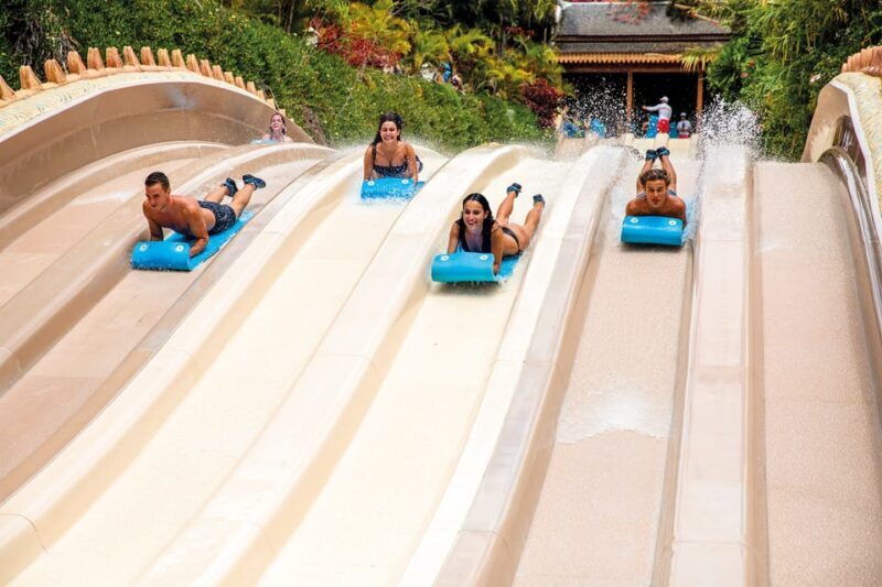 Loro Parque and Siam Park Combined Admission Tickets - The Sum Up