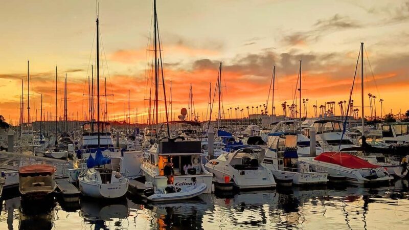 Los Angeles #1: Luxury Boat Cruise-Wine, Cheese & Sea Lions - The Guide & Atmosphere