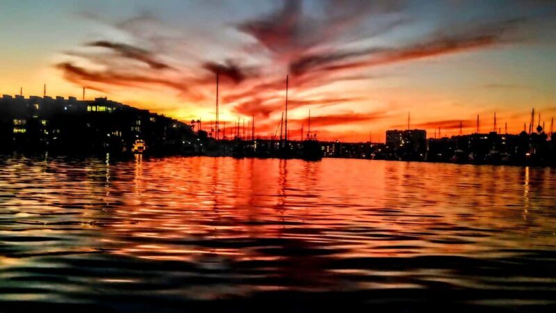 Los Angeles #1: Luxury Boat Cruise-Wine, Cheese & Sea Lions - Food, Drinks, and Add-ons